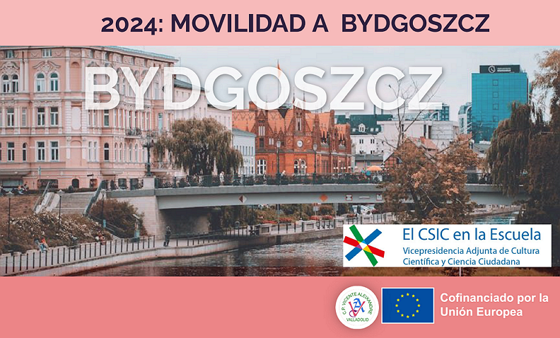 Erasmus + Bydgoszcz